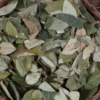 Coca Leaves