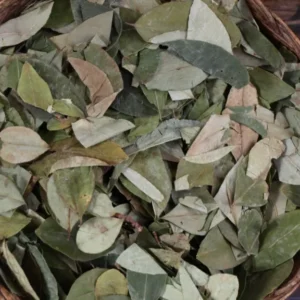 Coca Leaves