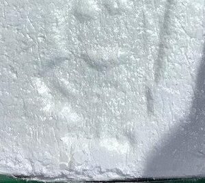 Buy Cocaine in New Zealand Online